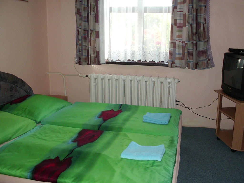 Pension Doctor Dvur Kralove nad Labem Bilik gambar