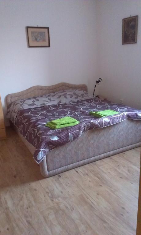 Pension Doctor Dvur Kralove nad Labem Bilik gambar