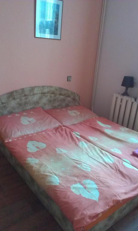 Pension Doctor Dvur Kralove nad Labem Bilik gambar
